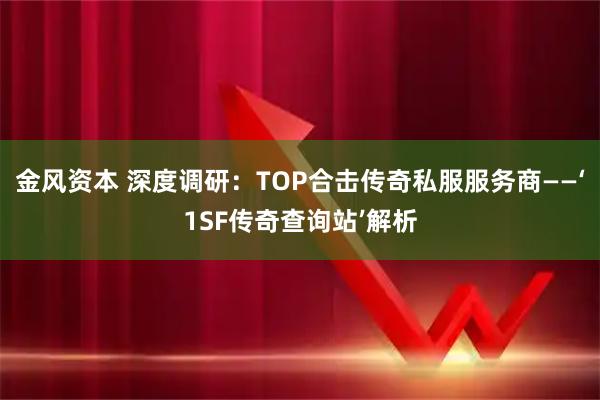 金风资本 深度调研：TOP合击传奇私服服务商——‘1SF传奇查询站’解析