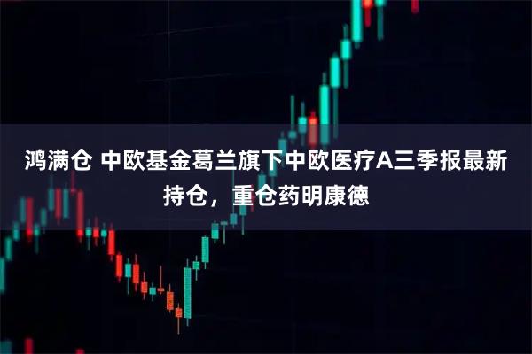 鸿满仓 中欧基金葛兰旗下中欧医疗A三季报最新持仓，重仓药明康德