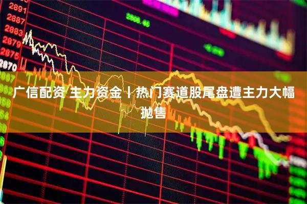 广信配资 主力资金丨热门赛道股尾盘遭主力大幅抛售