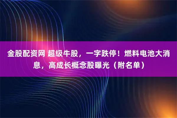 金股配资网 超级牛股，一字跌停！燃料电池大消息，高成长概念股曝光（附名单）